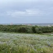 【プロフ必読】みもの画像