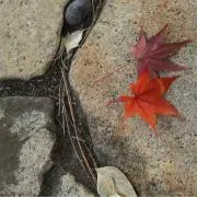eの画像