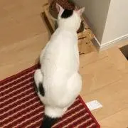 むんた