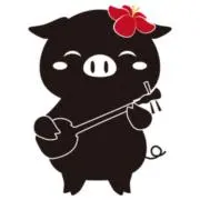 あぐーの画像