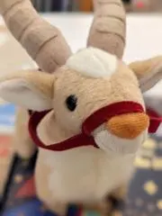 ひなたの画像