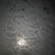 名無しの画像