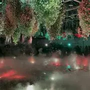 tmmsncm0610の画像