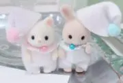 あみ.