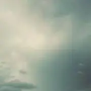 okasanaの画像