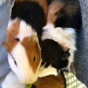 まる