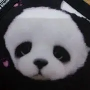 パンダ   プロフ必読の画像