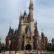 もちこの画像