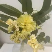 アンの画像