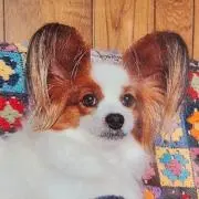 マリ太の画像