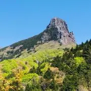 キルヒアイスの画像