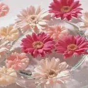 MeeeT❁﻿プロフ要確認
