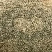 とまと