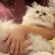 まる