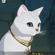 りゅーらの画像