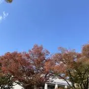か