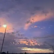 も