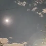 りりの画像