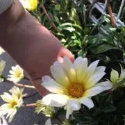 猫の音楽の日々✴︎プロフィール見てね