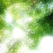 月
