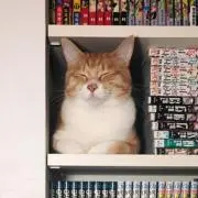 アバロン0724の画像