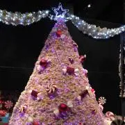 Y❤︎Gの画像