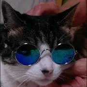 にんにく  プロフ読んでね♪の画像