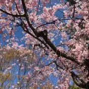 ☆☆の画像