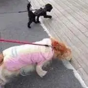 たくの画像