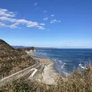 とりの画像