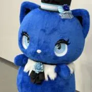 かいの画像