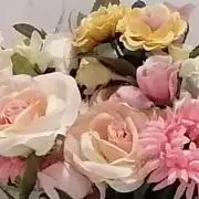 ゆの画像