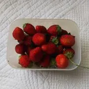 ゆってぃーの画像