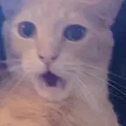 こうき