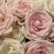プロフ必読❗️まとめ買い→お値下げOKの画像