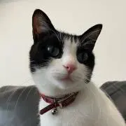 santar22の画像