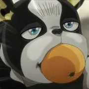 いぬの画像