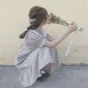 葵