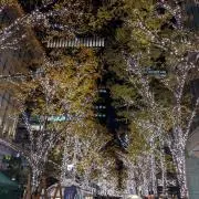 night lightsの画像
