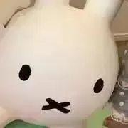 ひな(プロフィールご覧下さい)の画像