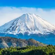 楓の画像