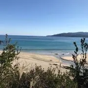 はなみ