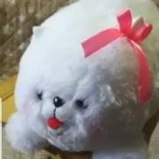 Yaezakura