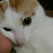 むーあ