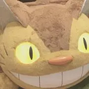 ki / プロフお読みください⭐︎の画像