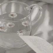 ねこの画像