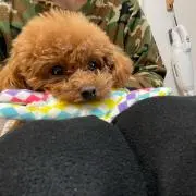 かっちゃんの画像