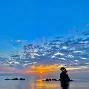 シャカの画像