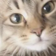 ジュウさんの画像