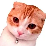 小次郎